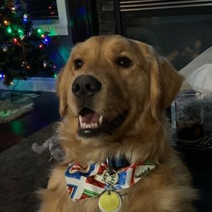 Meet your Posher, Chelsey